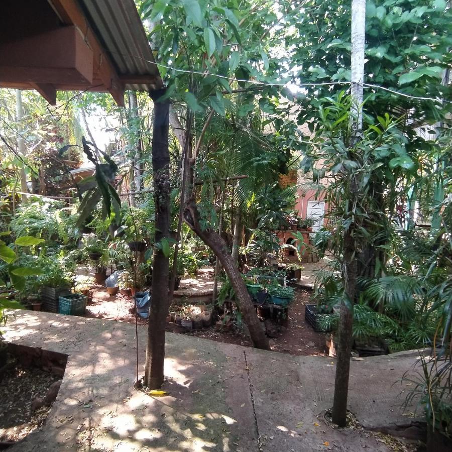 Hostel Guazu Puerto Iguazú Extérieur photo