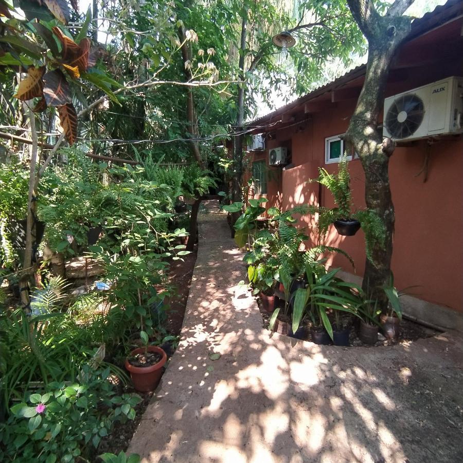Hostel Guazu Puerto Iguazú Extérieur photo