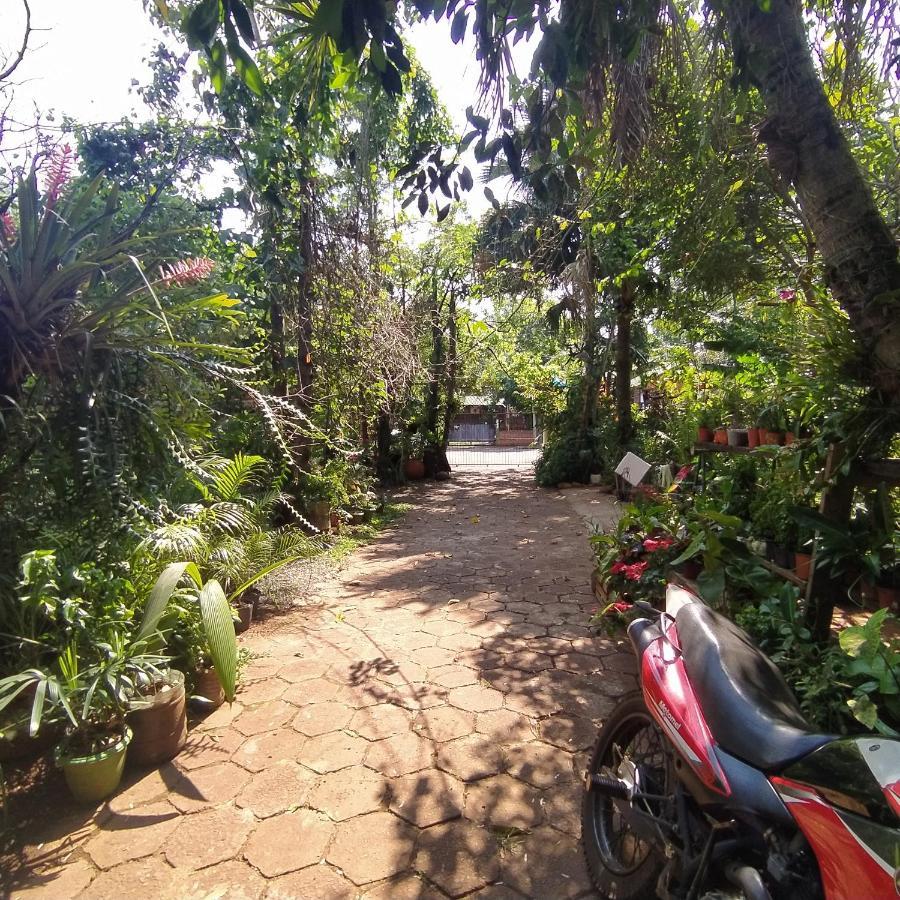 Hostel Guazu Puerto Iguazú Extérieur photo